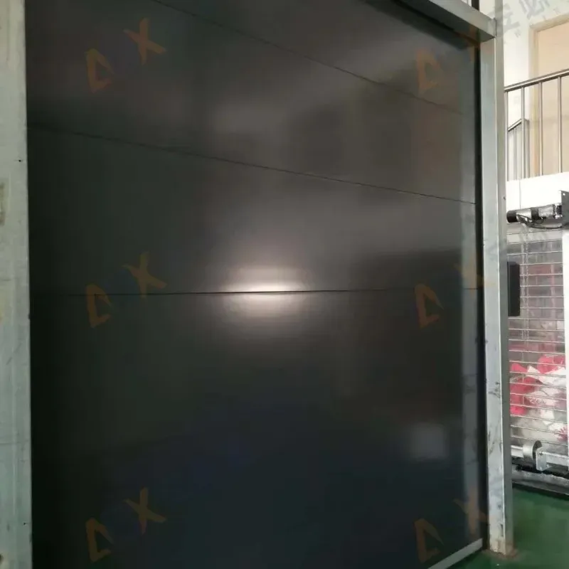 Industrial integrated Sectional Door 