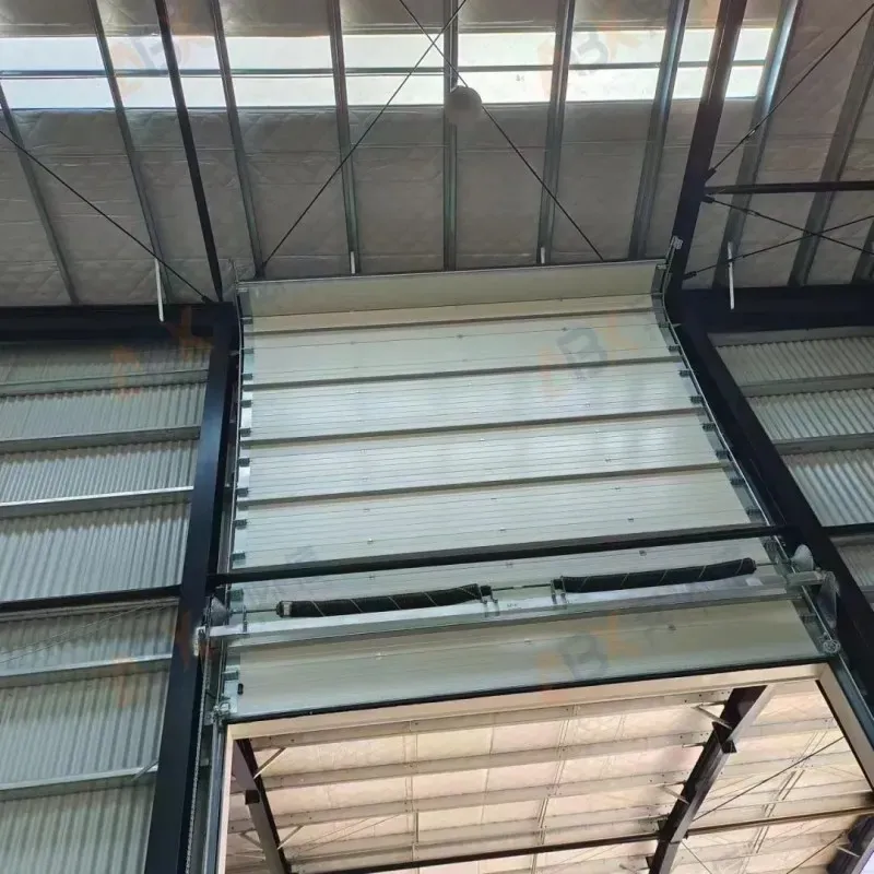 Cold storage door Sectional Door 