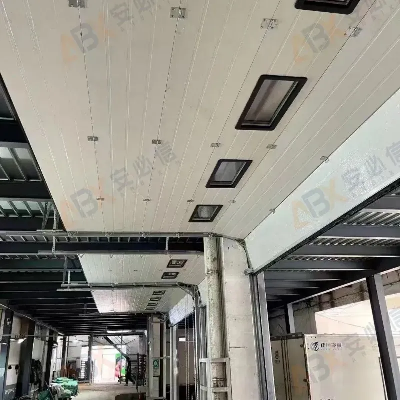 Introduction to Cold storage vertical Garage Door, how much is the price of the Garage Door?